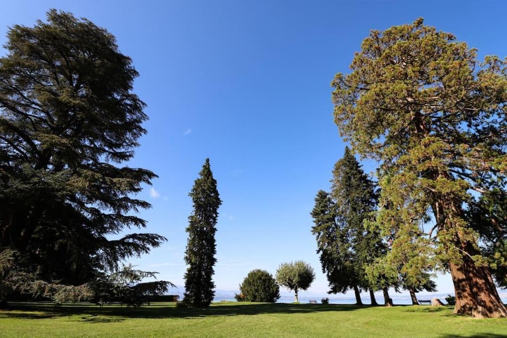 Appartamento L'Escale Du Leman Publier Esterno foto