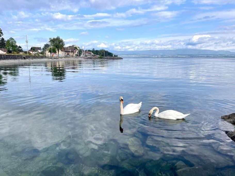Appartamento L'Escale Du Leman Publier Esterno foto