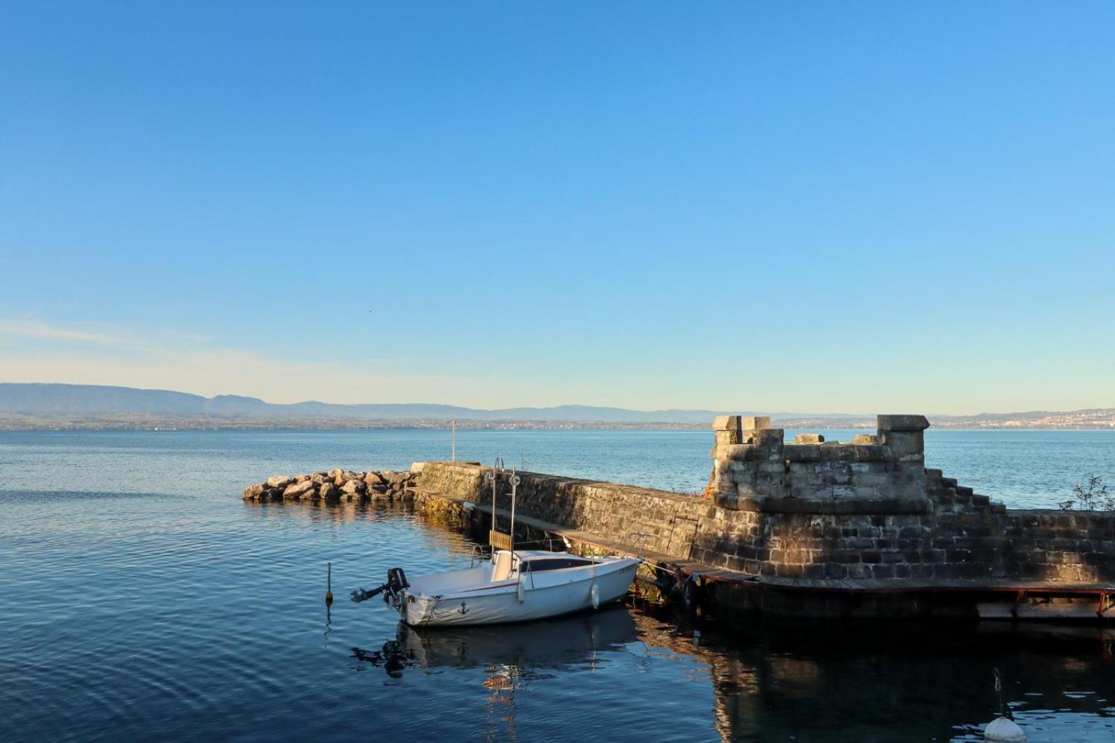 Appartamento L'Escale Du Leman Publier Esterno foto